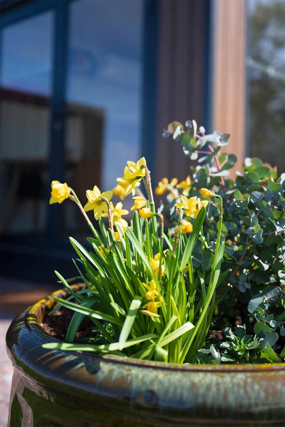 't Zand Bloem & Bed B&B 외부 사진
