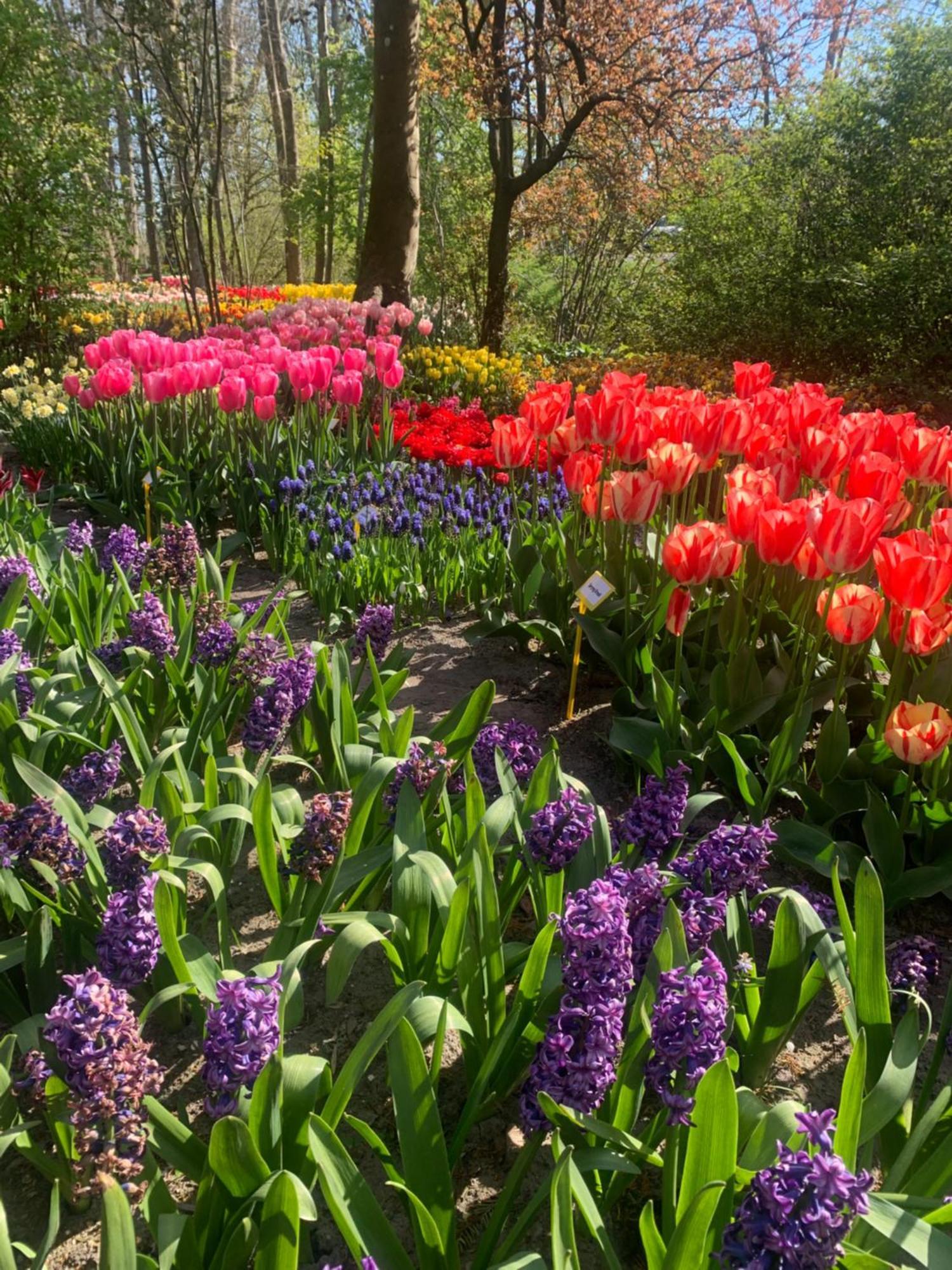 't Zand Bloem & Bed B&B 외부 사진